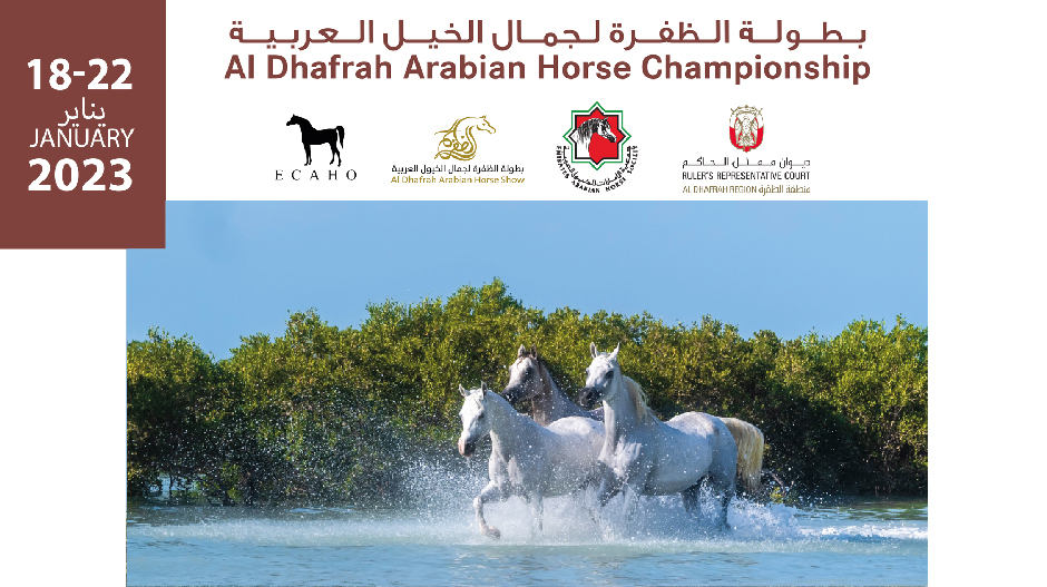 Al Dhafrah Arabian Horse Championship 2023 | Events | Arabian Essence TV